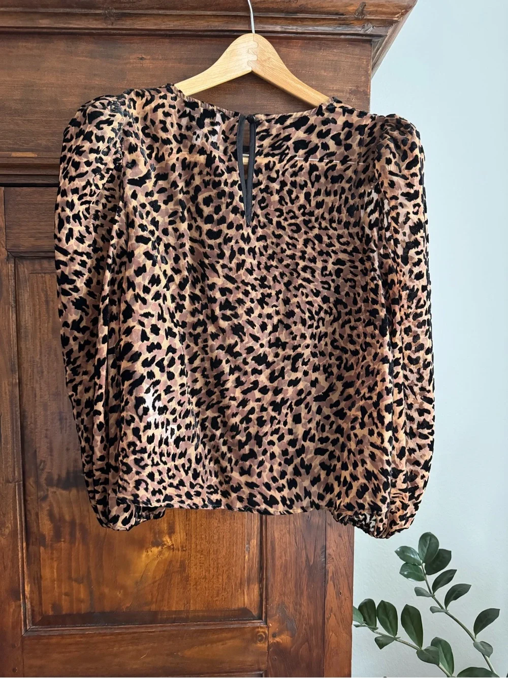 JOA Velvet Burnout Blouse Sheer Animal Print Puff Sleeves Size M - Picture 6 of 11
